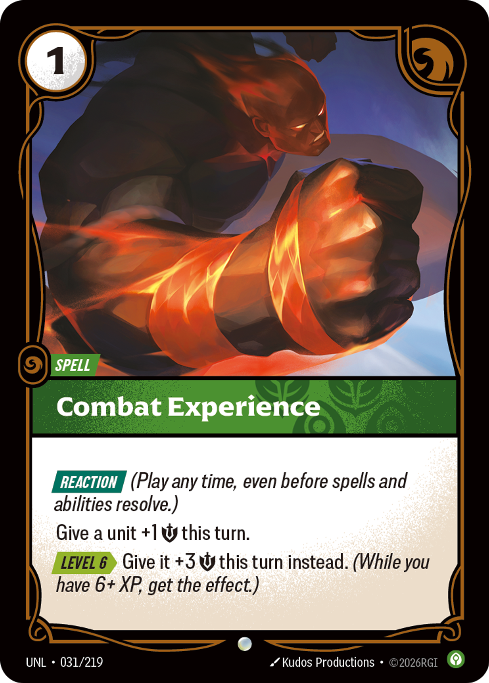 Combat Experience