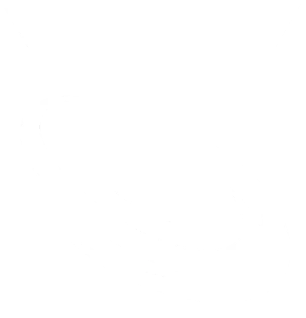 라이엇게임즈 TFT 새 소식 이미지