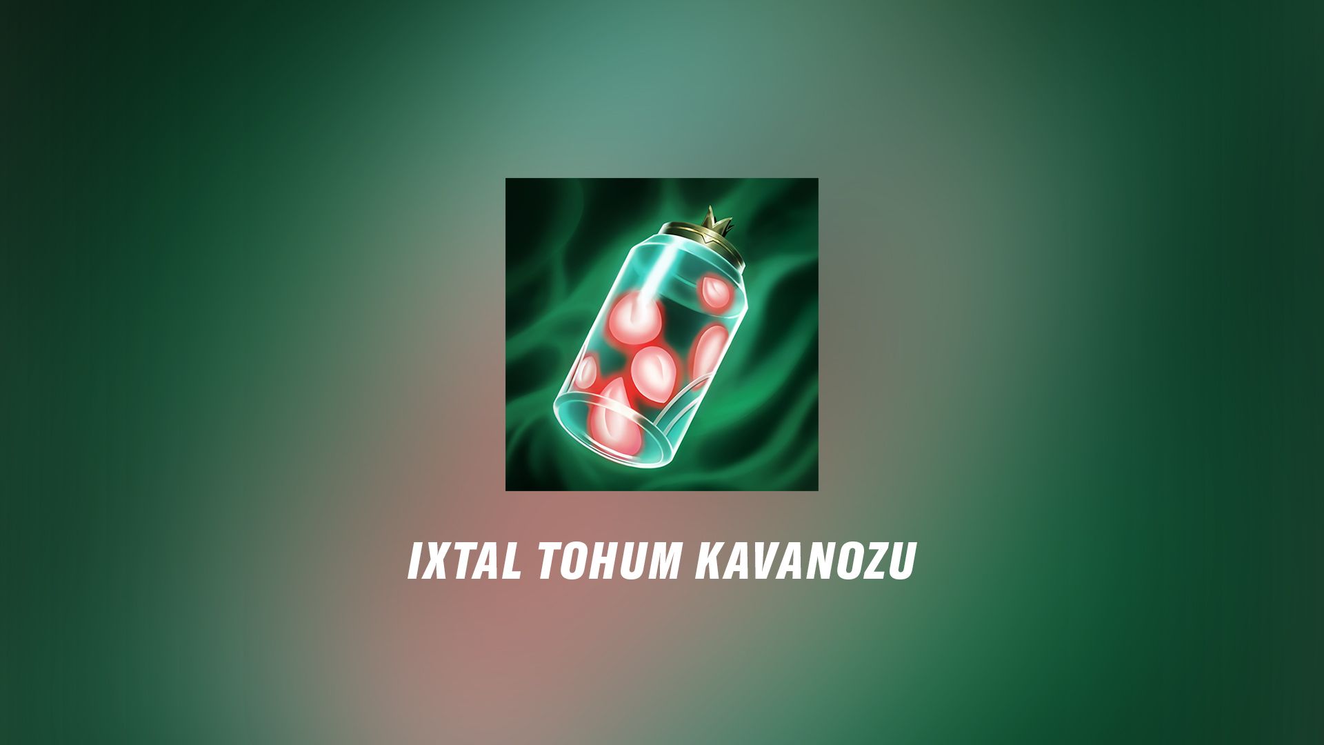 IXTALI_SEEDJAR_TR.jpg
