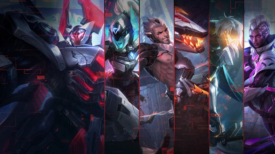 PROJECT skins
