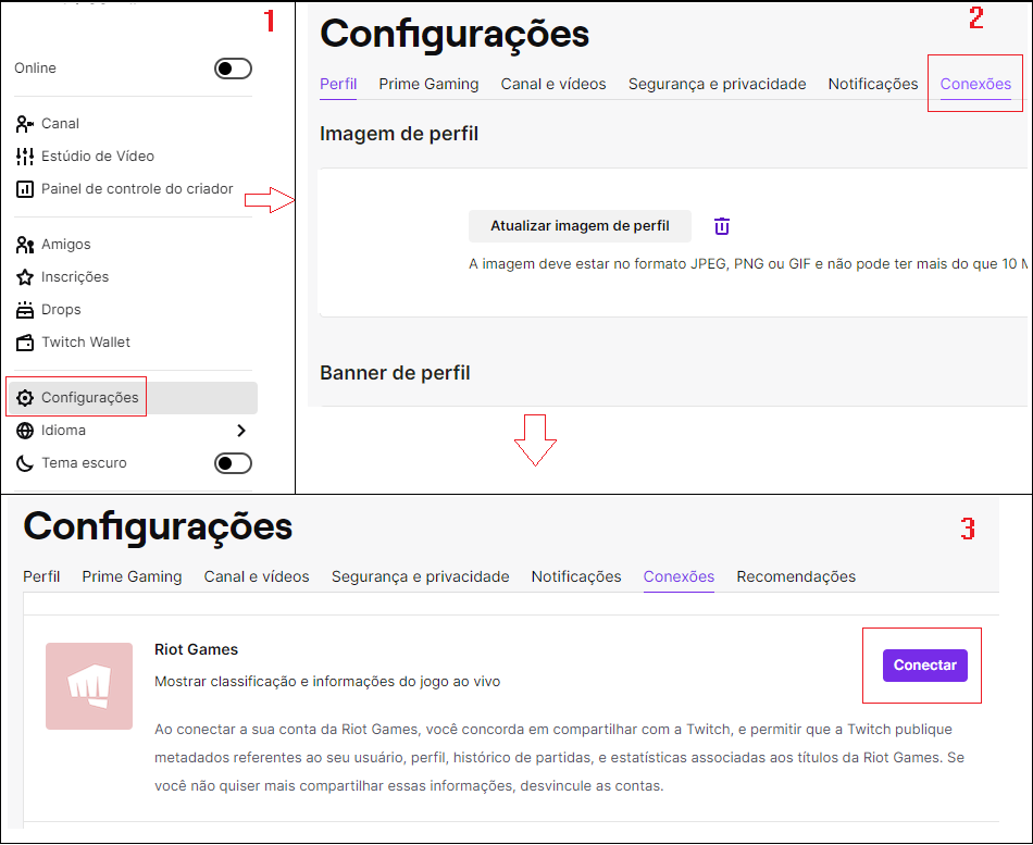 conect_riot_twitch.png